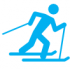 ski-icon ski-icon