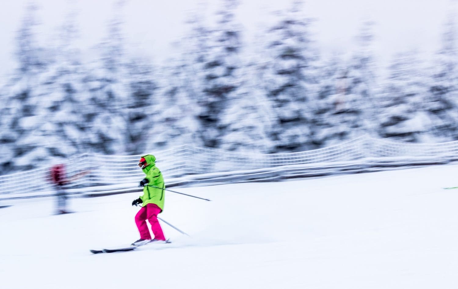 skier