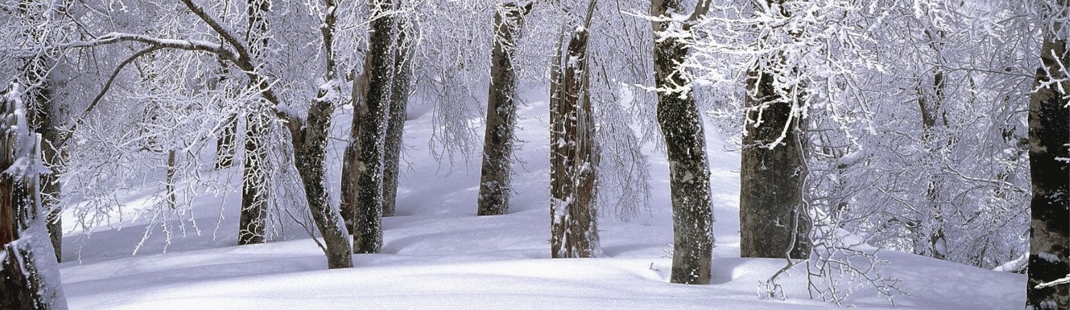 Feldberg - Skiing in Germany