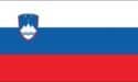 Slovenia flag