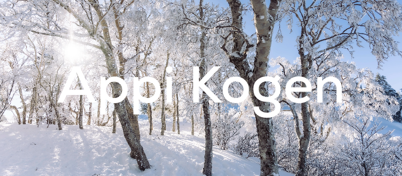 Airport Transfer to Appi Kogen