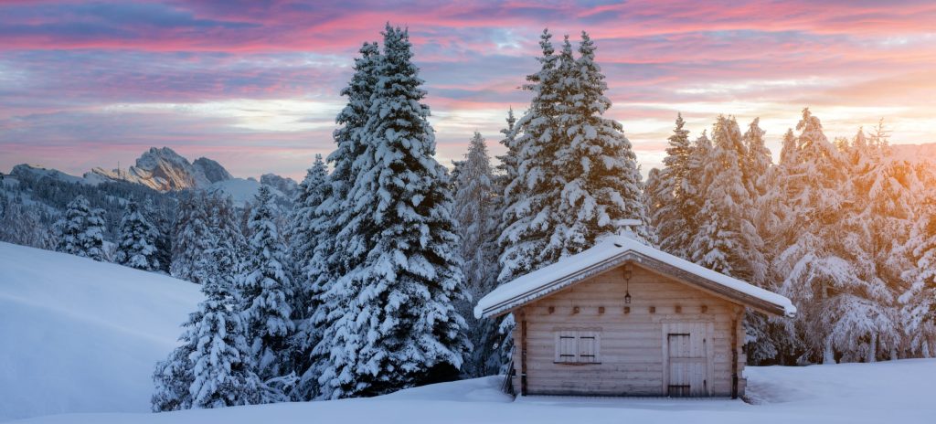 Shredding for the Planet: Sustainable Ski Travel
