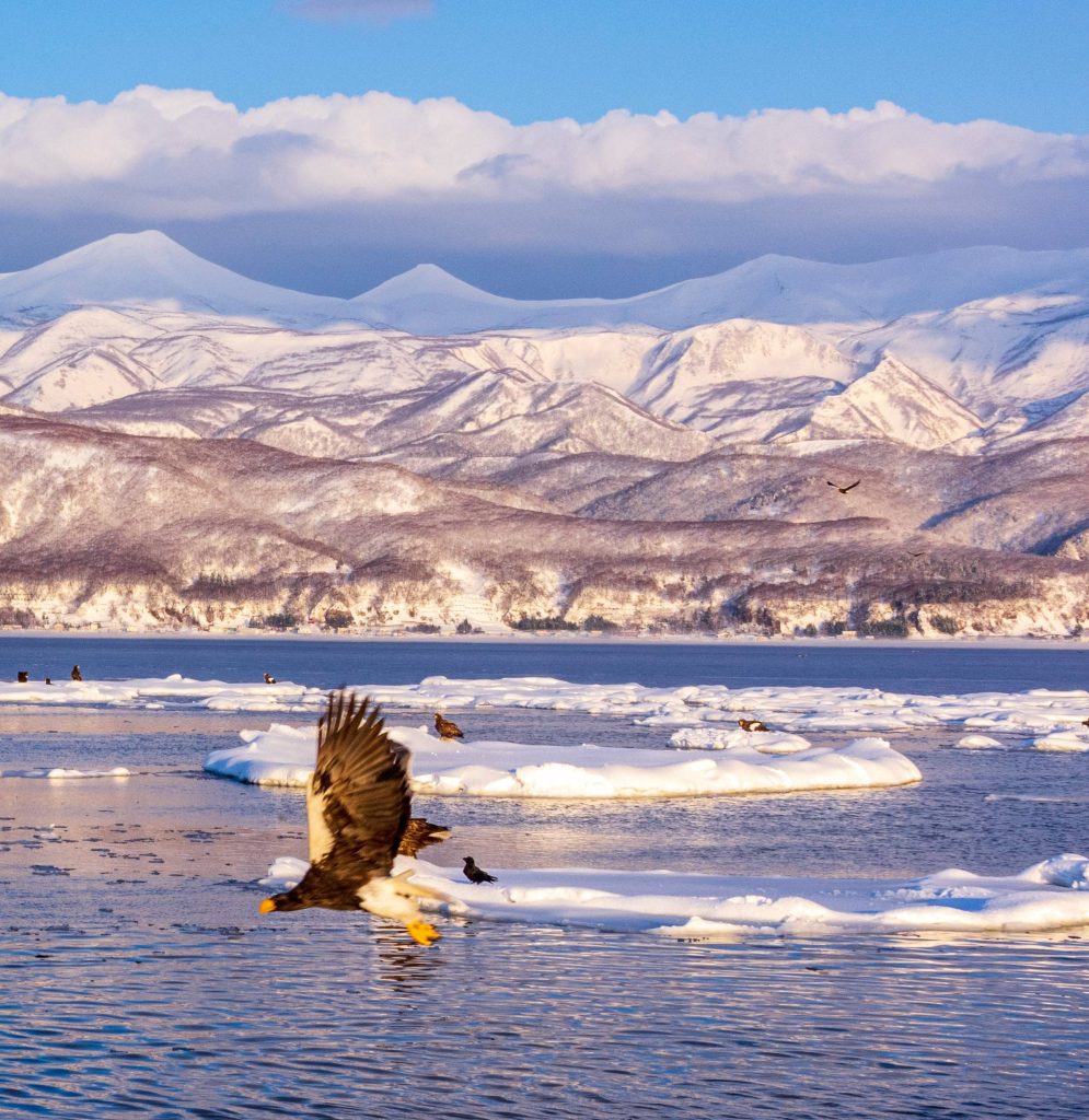 How To Plan A Long Haul Ski Trip