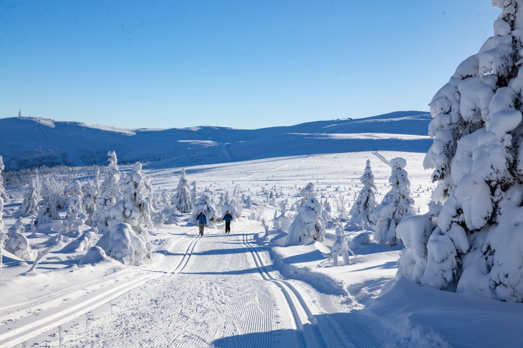 Skiing in Norway: The New Destination of Choice for Winter Sports