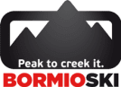 Bormio Airport Transfers